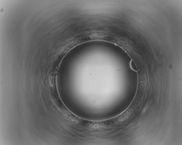 X0000063500755200601231437