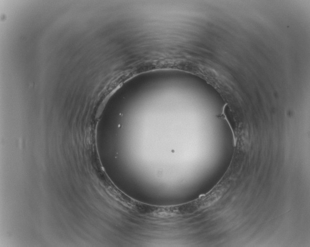 X0000063500756200601231437