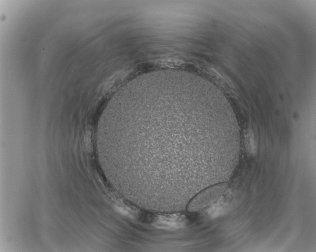 X0000063500757200601231437