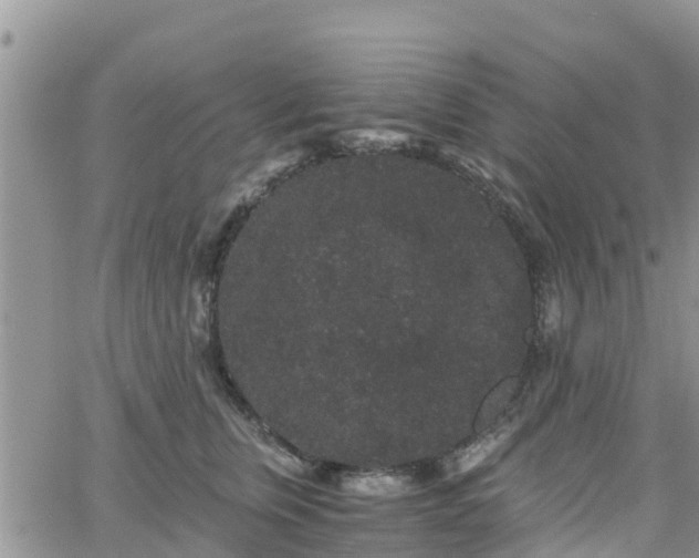 X0000063500759200601231437