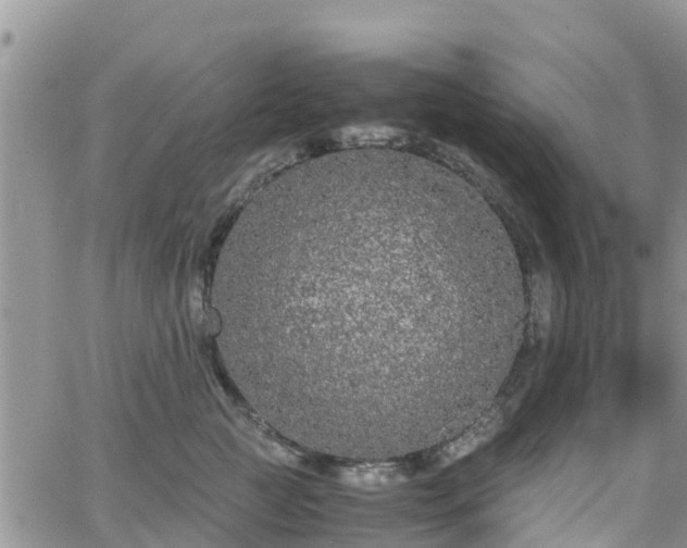 X0000063500761200601231437