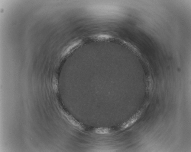 X0000063500762200601231437