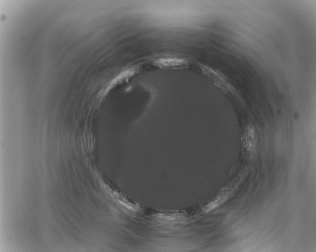 X0000063500763200601231437