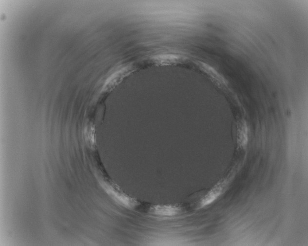 X0000063500766200601231437