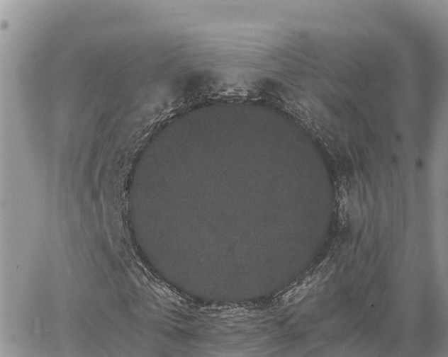 X0000063500769200601231436