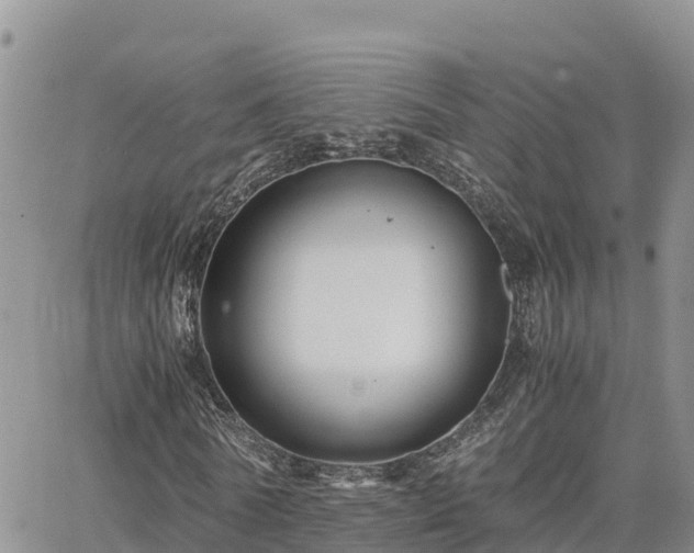 X0000063500770200601231436