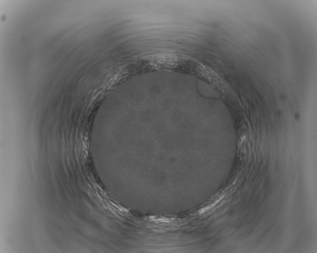 X0000063500772200601231436