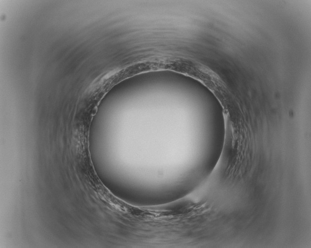 X0000063500773200601231436