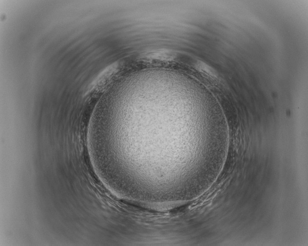 X0000063500774200601231436