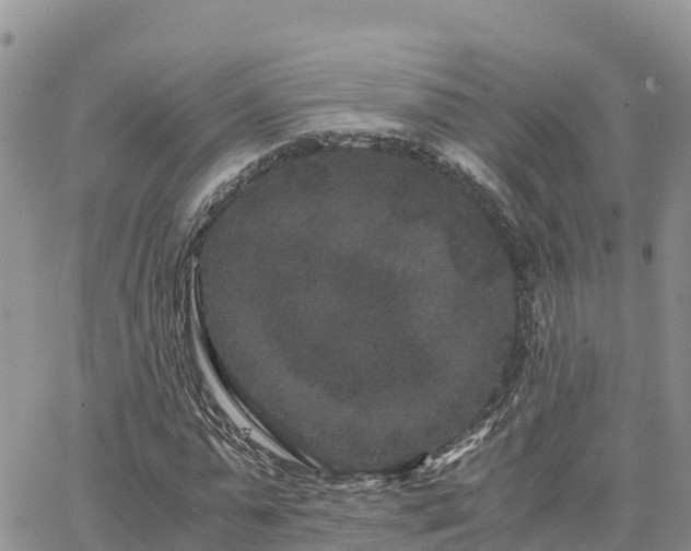 X0000063500775200601231436