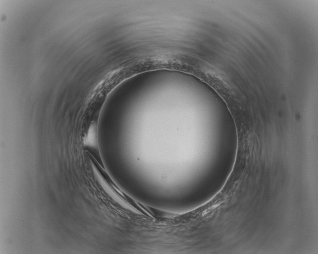 X0000063500776200601231436