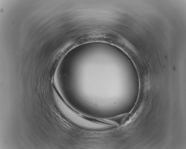 X0000063500777200601231436