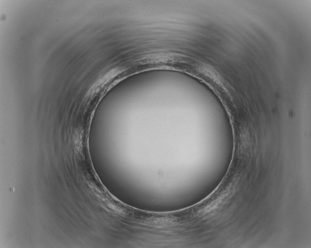 X0000063500778200601231436