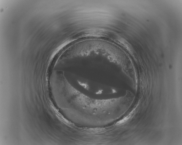 X0000063500779200601231436