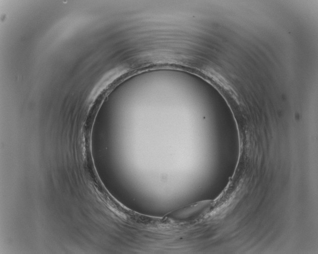 X0000063500782200601231436