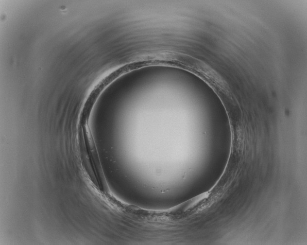 X0000063500784200601231436