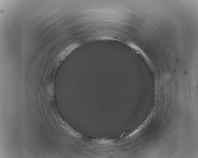 X0000063500785200601231436