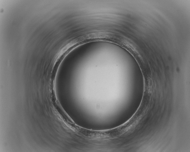 X0000063500786200601231436