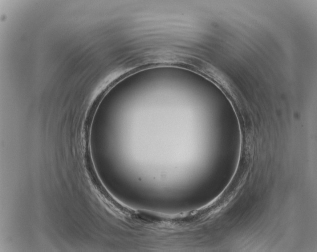 X0000063500787200601231436