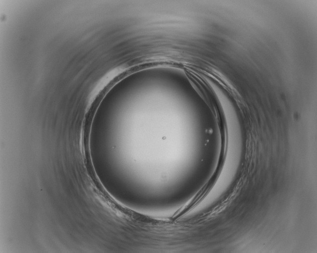 X0000063500788200601231436