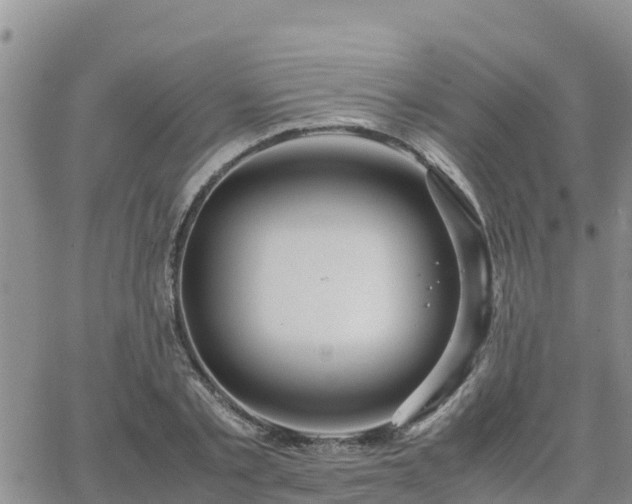 X0000063500789200601231436