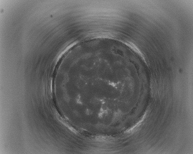 X0000063500790200601231436