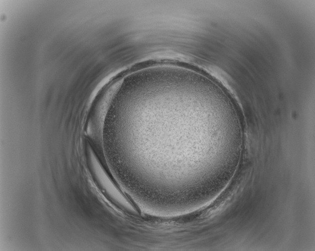 X0000063500791200601231436