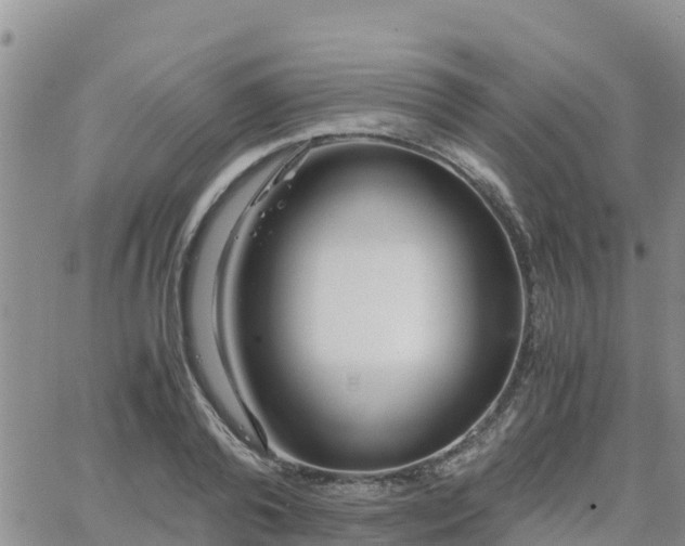 X0000063500792200601231436