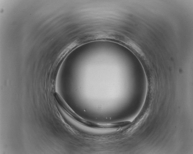 X0000063500793200601231436