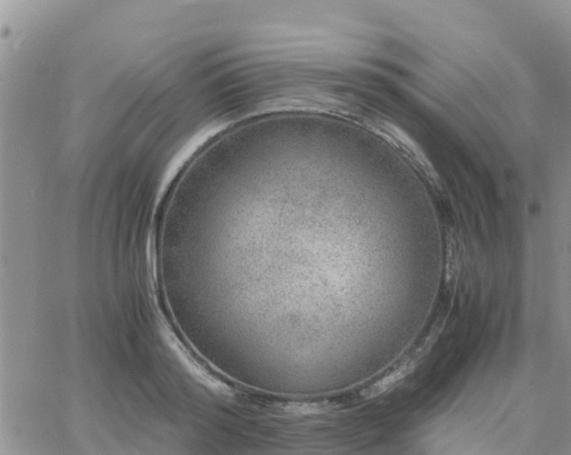 X0000063500796200601231436