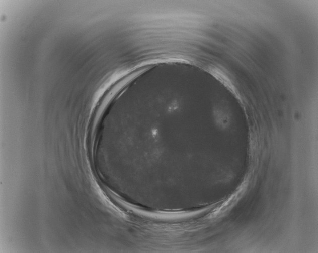 X0000063500797200601231436