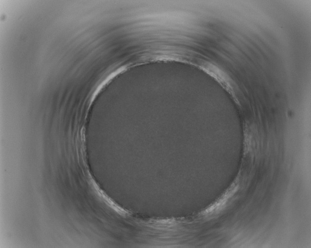 X0000063500798200601231436