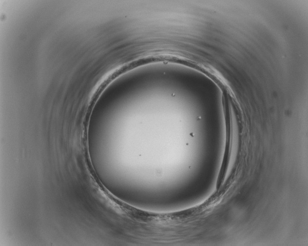 X0000063500799200601231436