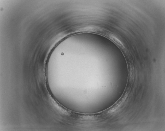 X0000063500800200601231436