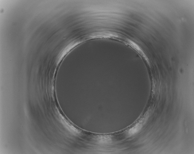 X0000063500802200601231436