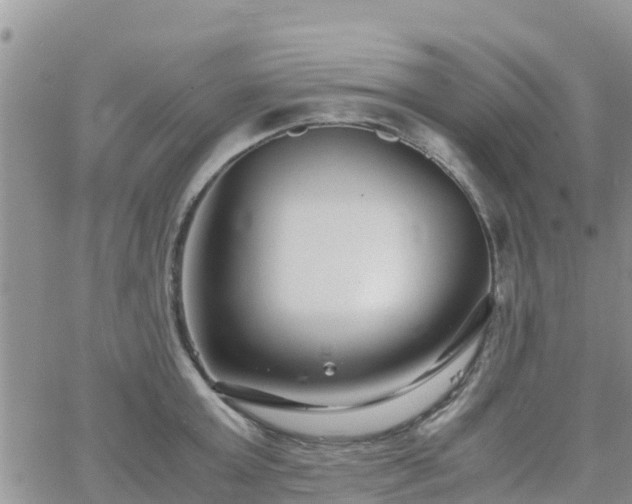 X0000063500803200601231436