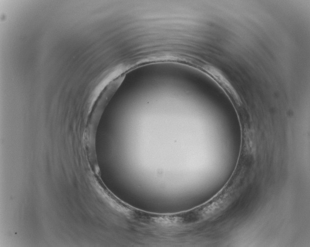 X0000063500805200601231436