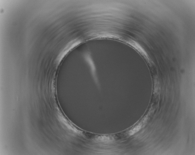 X0000063500806200601231436