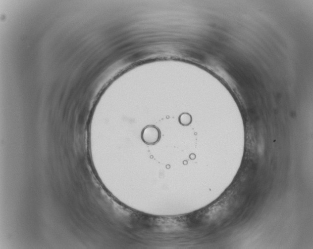 X0000063500807200601231436