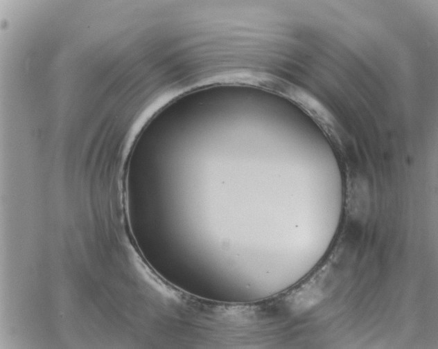 X0000063500808200601231435