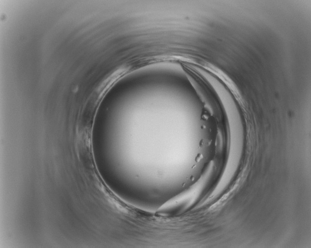 X0000063500809200601231435