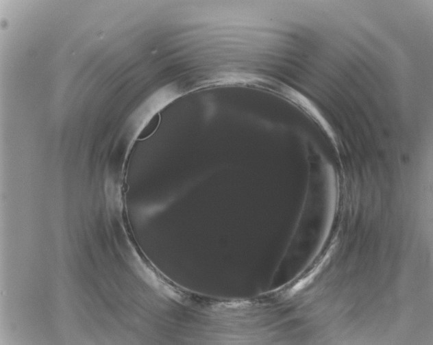 X0000063500810200601231435