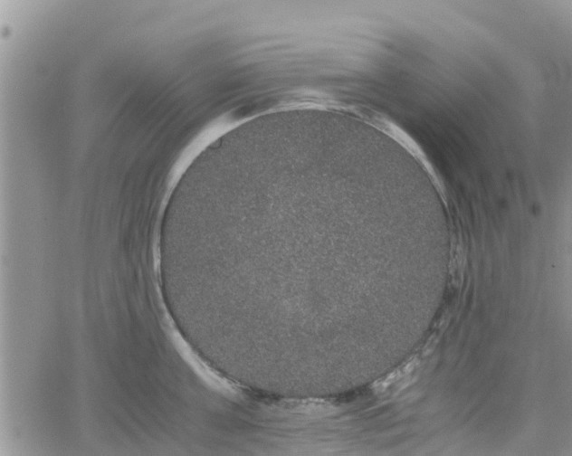 X0000063500811200601231435