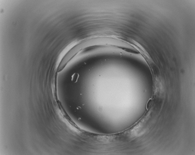 X0000063500812200601231435