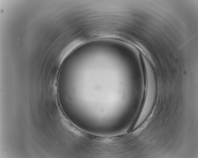 X0000063500814200601231435