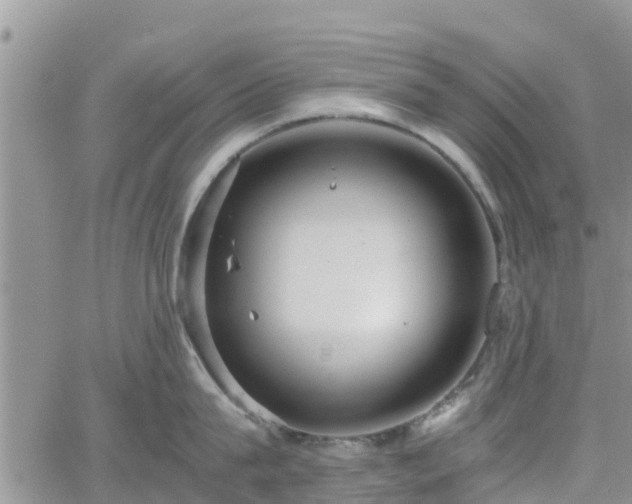 X0000063500815200601231435