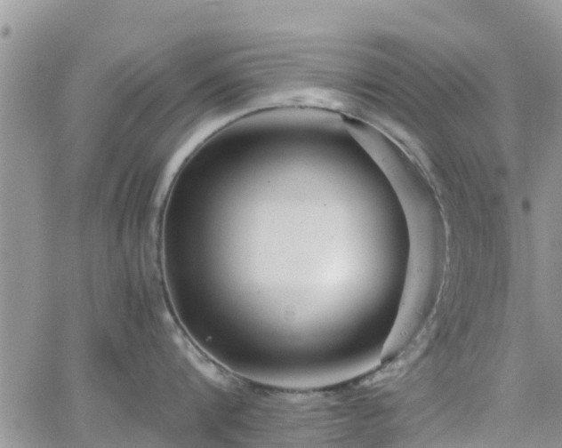 X0000063500816200601231435