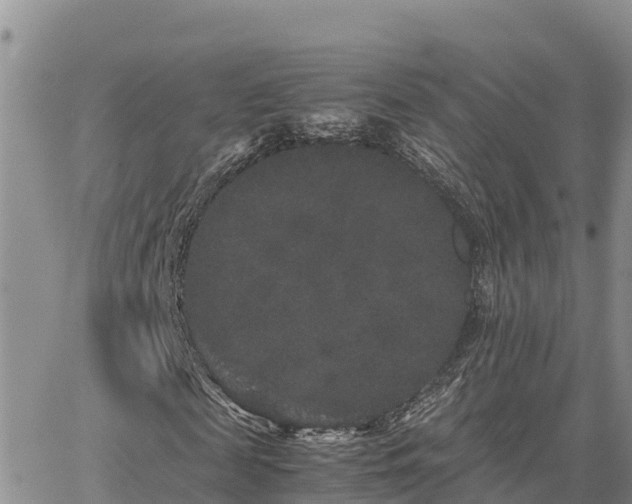 X0000063500817200601231435