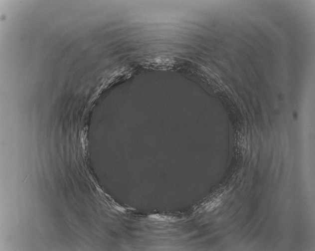 X0000063500818200601231435