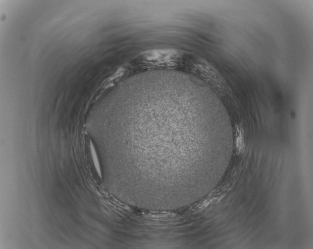 X0000063500819200601231435